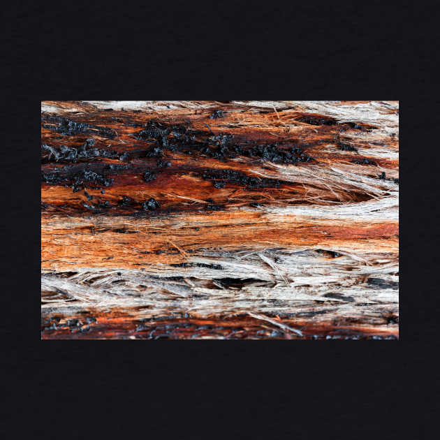 Vibrant Tree Oozing Sap From Trunk - Alternative VI by textural